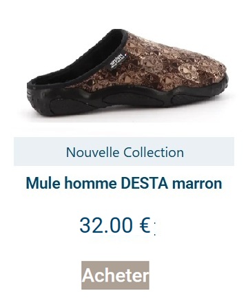 mules marron homme avec dessins guépards